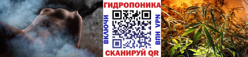 Канабис гибрид  купить закладку  Вилюйск 